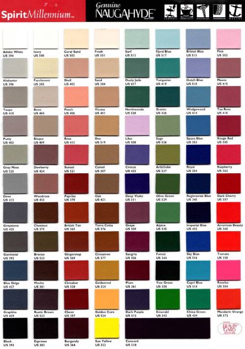 palette couleurs